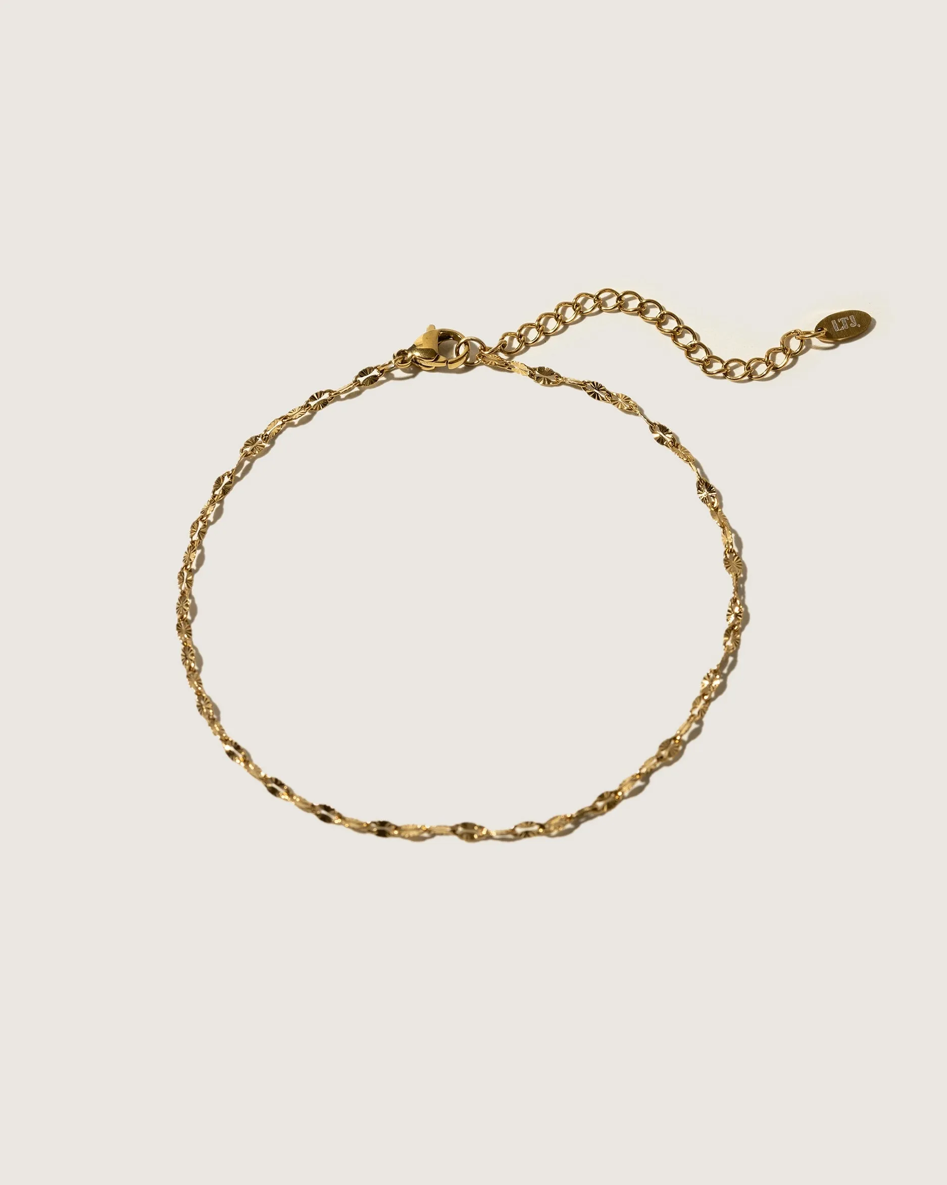 Anklet delicate - shell