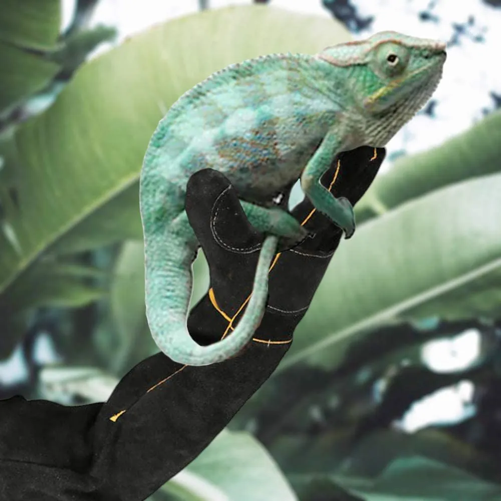 Long Sleeve Thick Leather Animal Handling Glove Anti Scratch Protective Gloves for Training Dog Cat Bird Snake Parrot Lizard Wild Animals Reptiles,Bite Resistant Gloves(Large,23.6in)