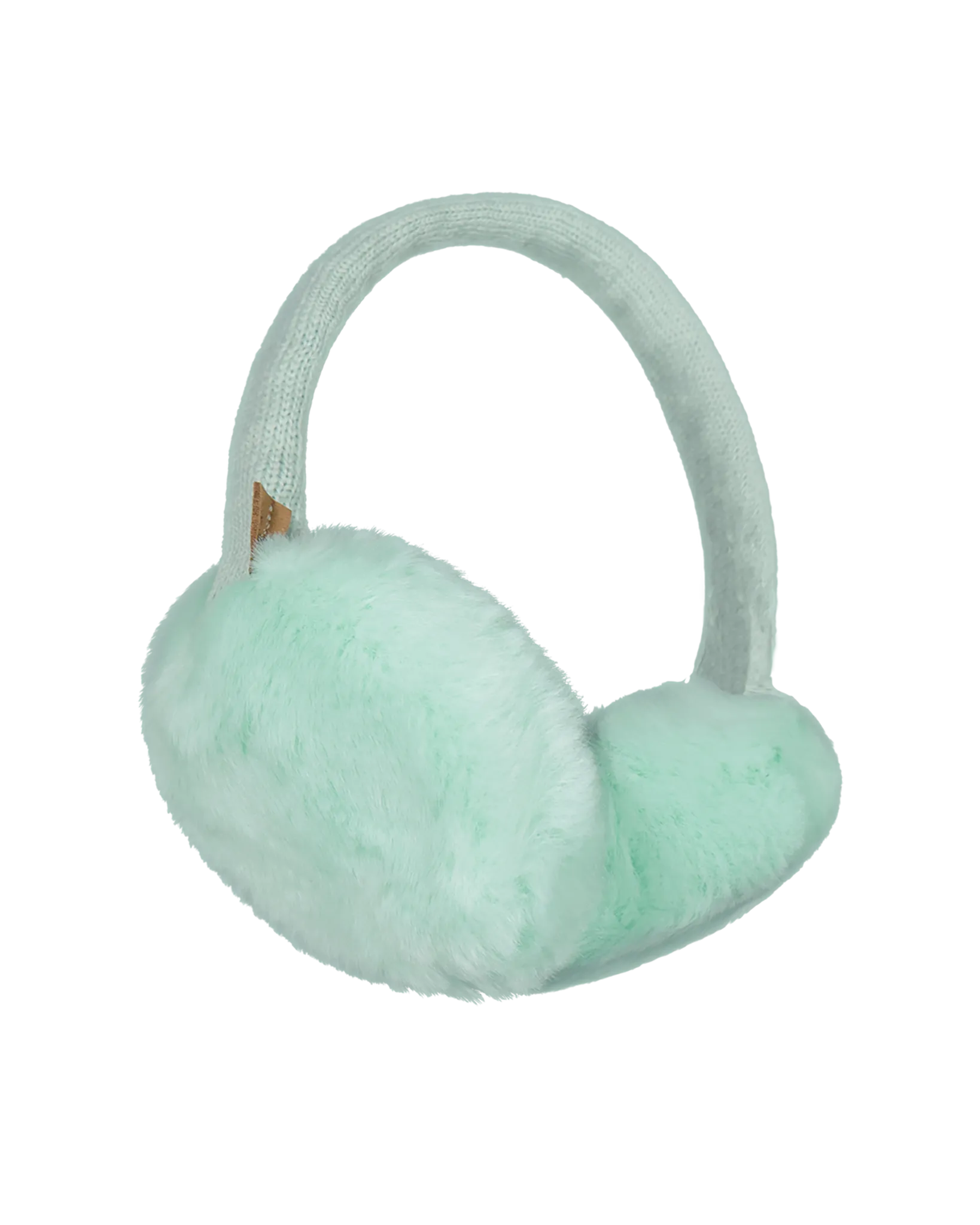 Plush Earmuffs in Light Pistache
