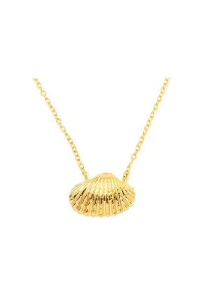 SEA SHELL Petite Necklace